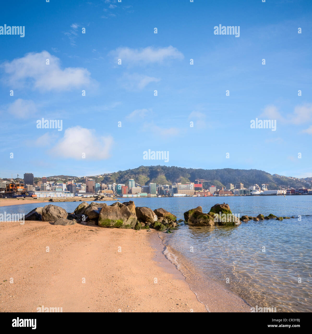 Wellington from Oriental Bay. Stock Photo