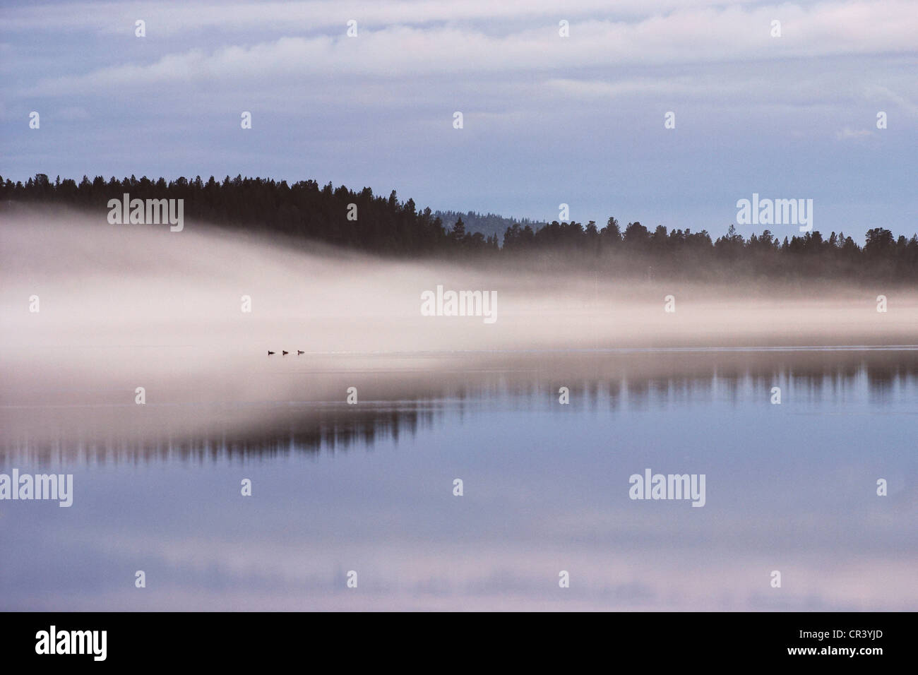 Finland, Lapland Province, Inarjarvi Lake (Inari Lake Stock Photo Alamy