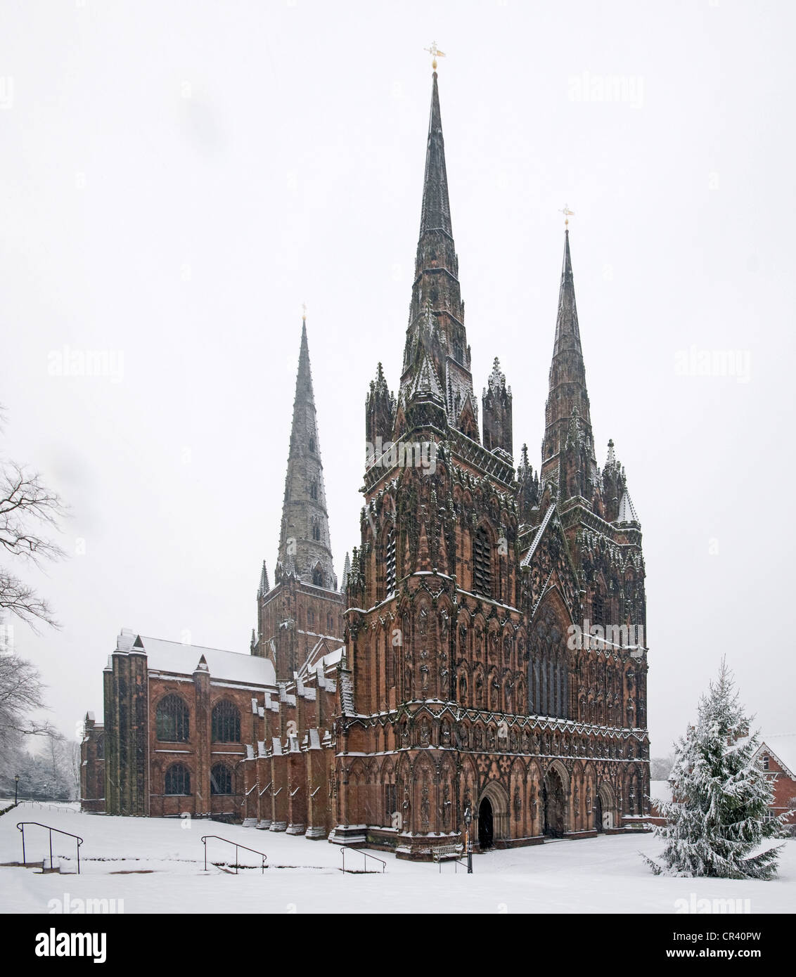 Lichfield Cathedral on a snowy day in winter with a Christmas Tree