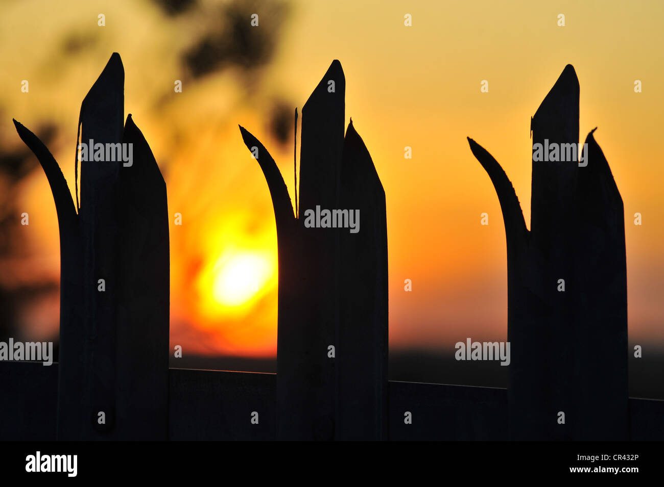 Fence at sunset Stock Photo - Alamy