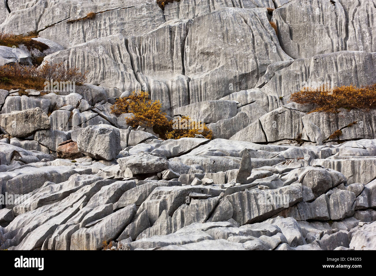 Austria, Vorarlberg, Lech Am Arlberg, karren karst limestone upper Rhaetian dating from 200 million years, Formaletsch Stock Photo