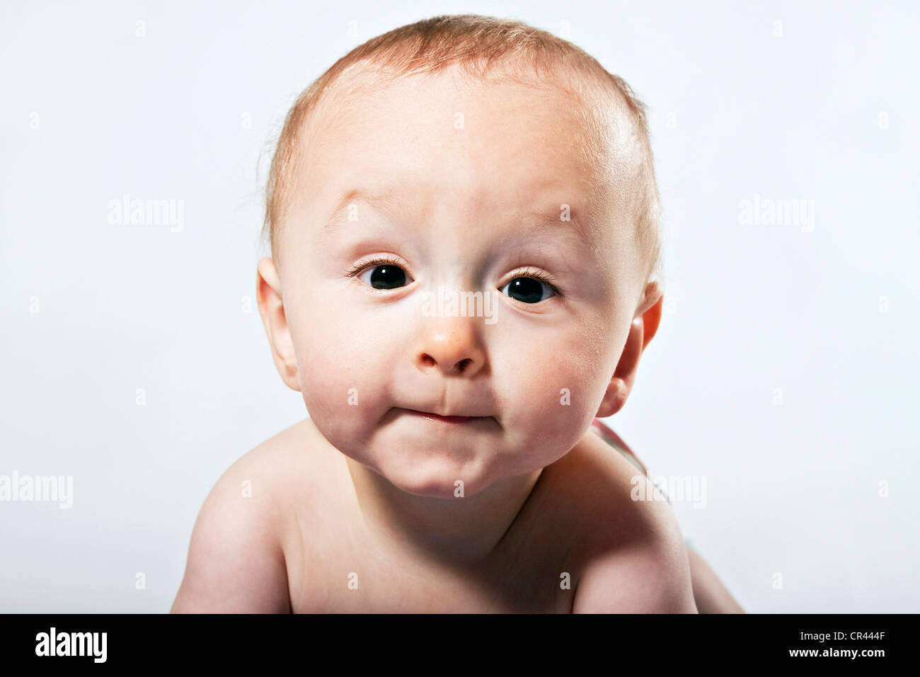 Baby boy, 8 months, portrait Stock Photo