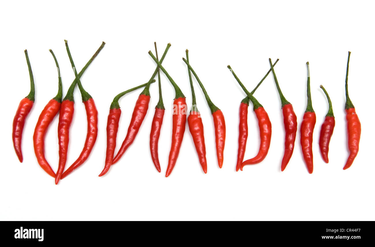 row of red chili peppers on a white background Stock Photo