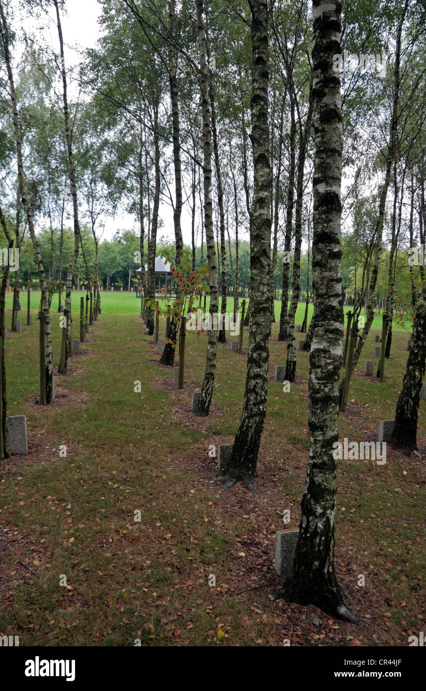 Lines of dedicated trees in the Bois de la Paix (the Wood of Peace