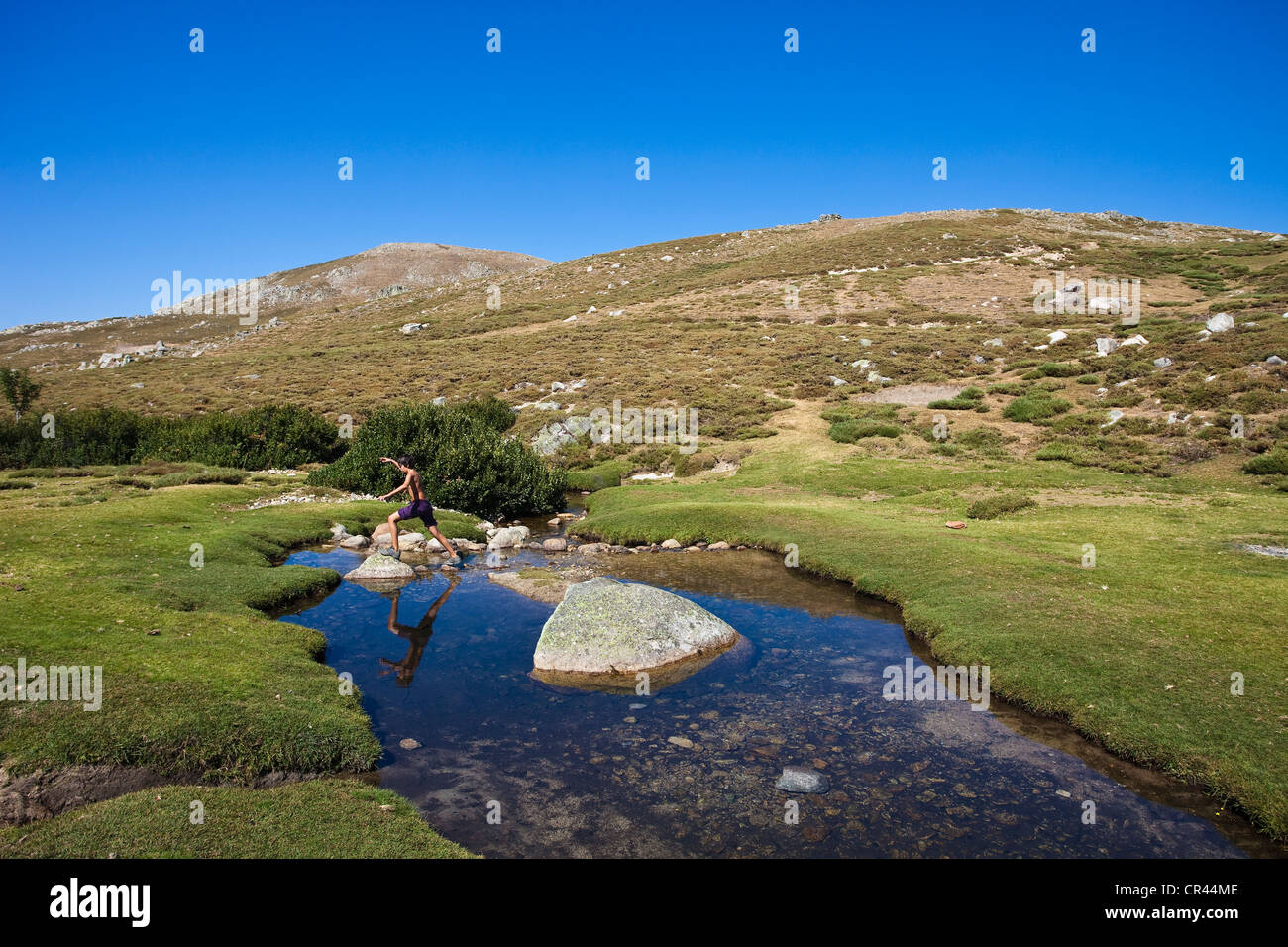 France Corse Du Sud Ese Plateau Stock Photo Alamy France Corse Du Sud Ese Plateau Stock Photo Alamy