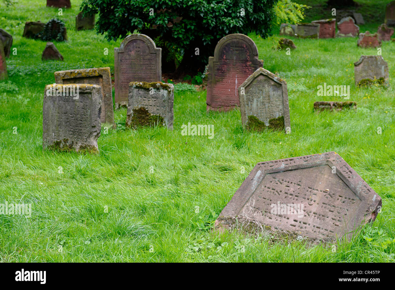 Old Jewish Cemetery 'Heiliger Sand', Worms, Rhineland-Palatinate, Germany, Europe Stock Photo