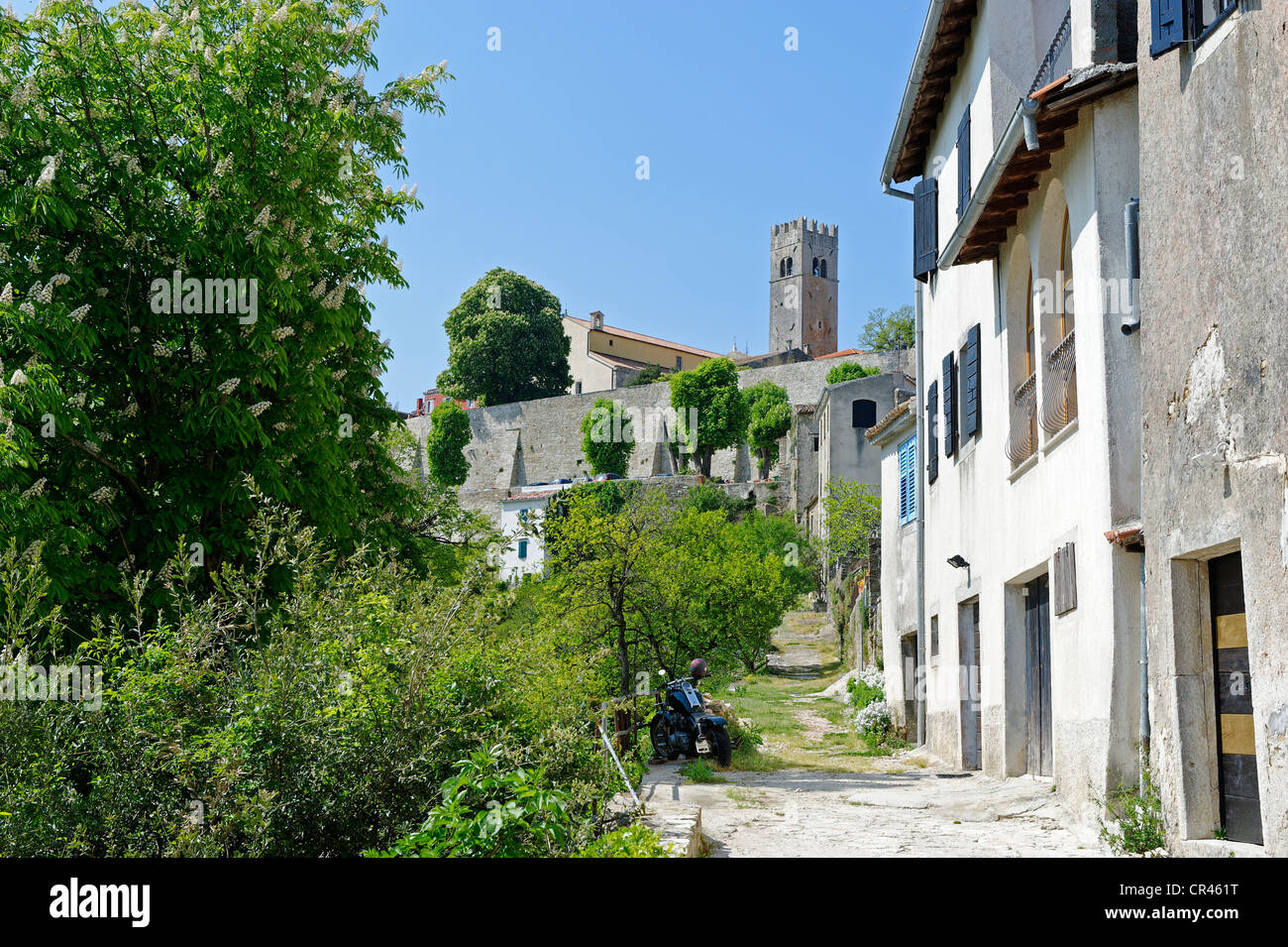 City walls, Motovun, Montona, Istria, Croatia, Europe Stock Photo