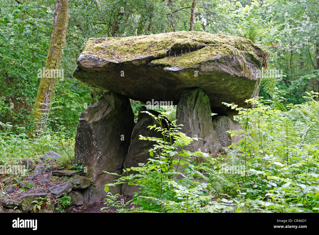 Dolmen, portal tomb, Irish National Heritage Park, Wexford, County Wexford, Ireland, Europe Stock Photo