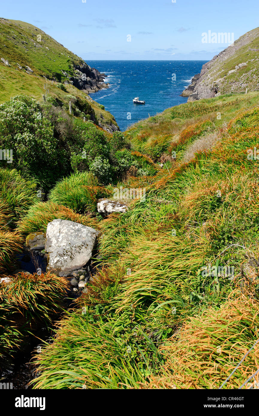 Saint Brendan Creek, Dingle Peninsula, County Kerry, Ireland, Europe Stock Photo