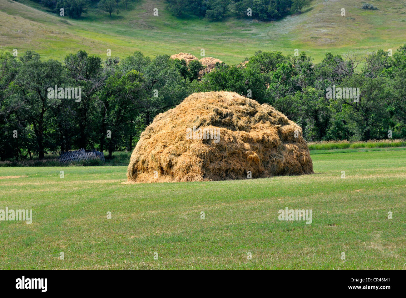 Hay mounds Wyoming WY US United States farming agriculture Stock Photo Alamy