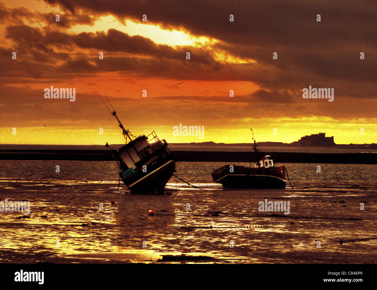 Fishing boats on mud at low tide hi-res stock photography and images ...