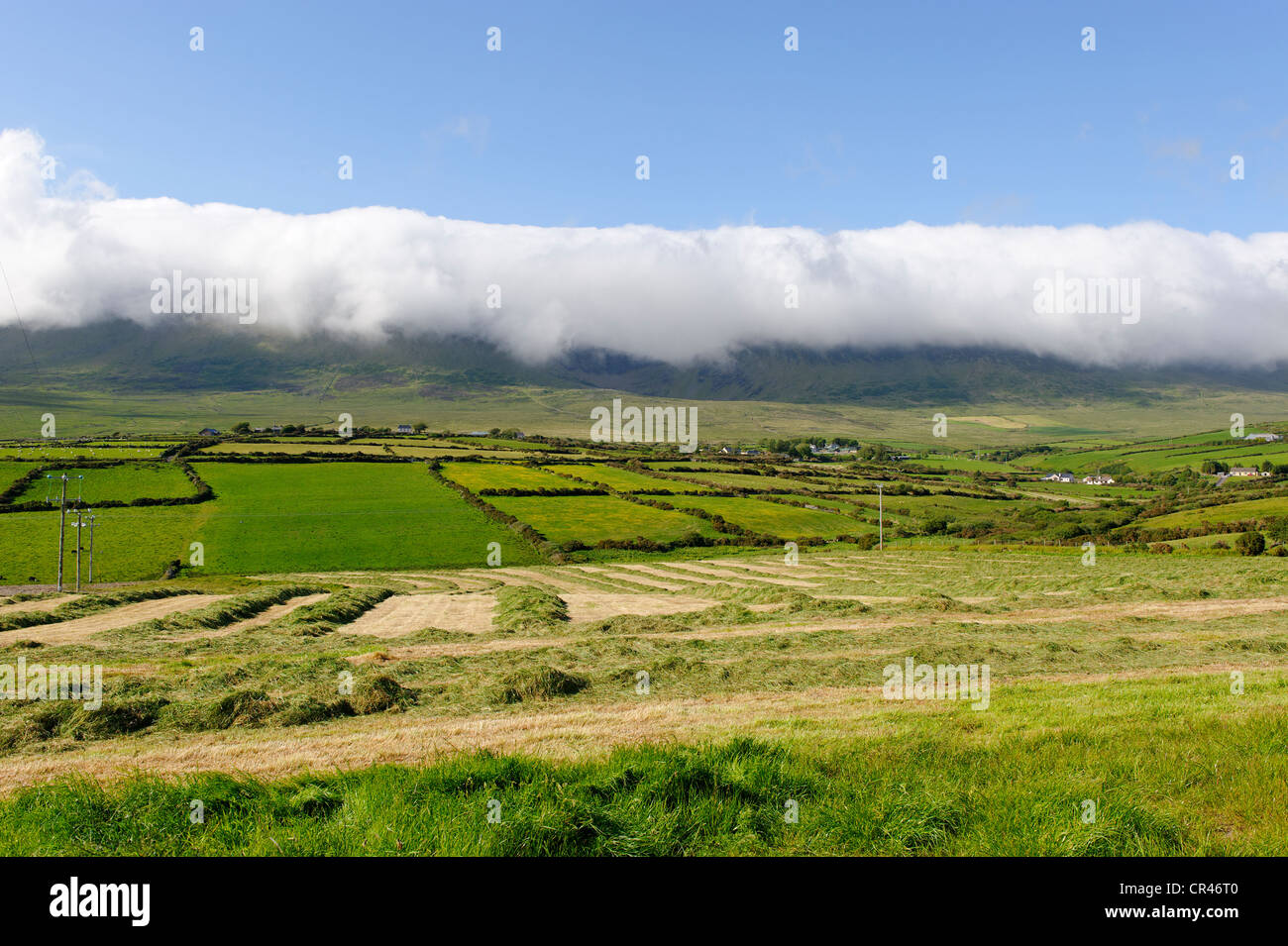 Landscape on the Dingle Peninsula, County Kerry, Ireland, Europe Stock Photo