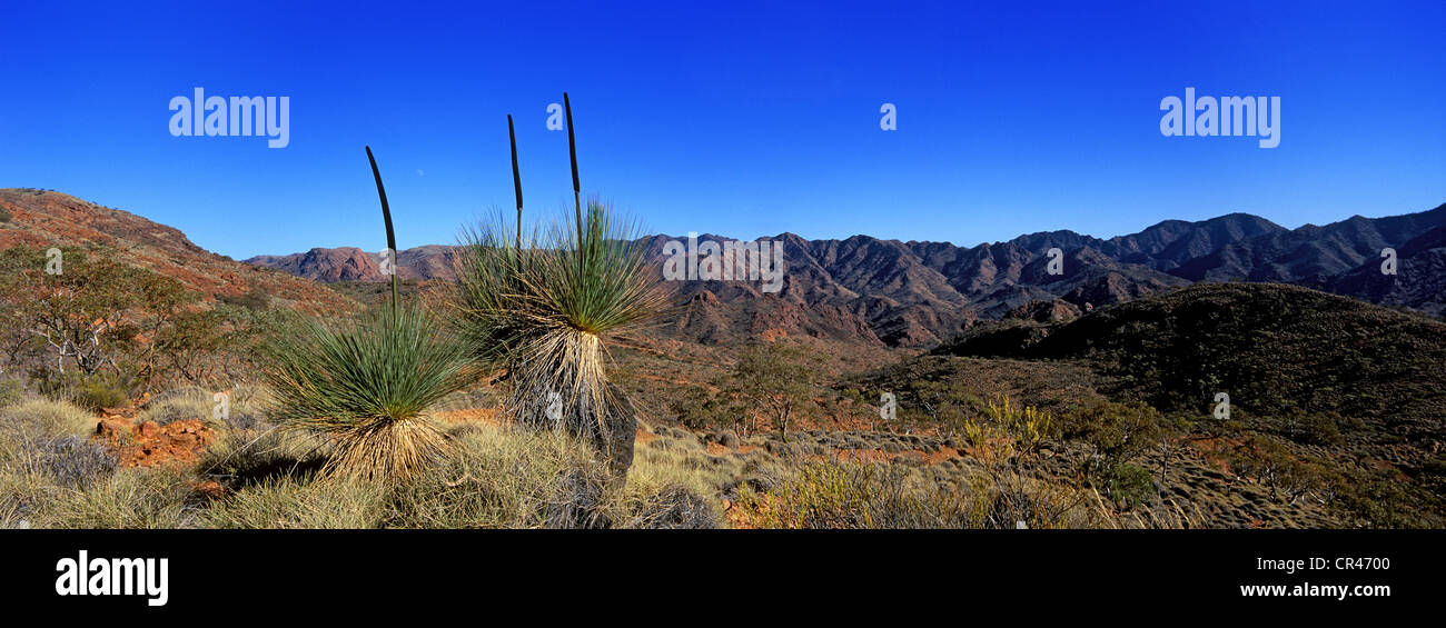 Australia, South Australia, Arkaroola, panorama on the Flinders Ranges Stock Photo
