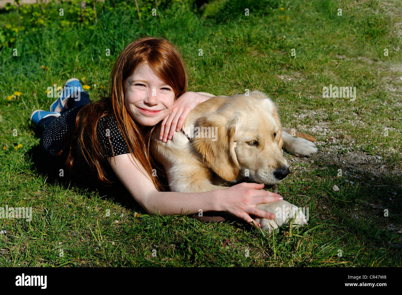 Girl with Golden Retriever dog Stock Photo - Alamy