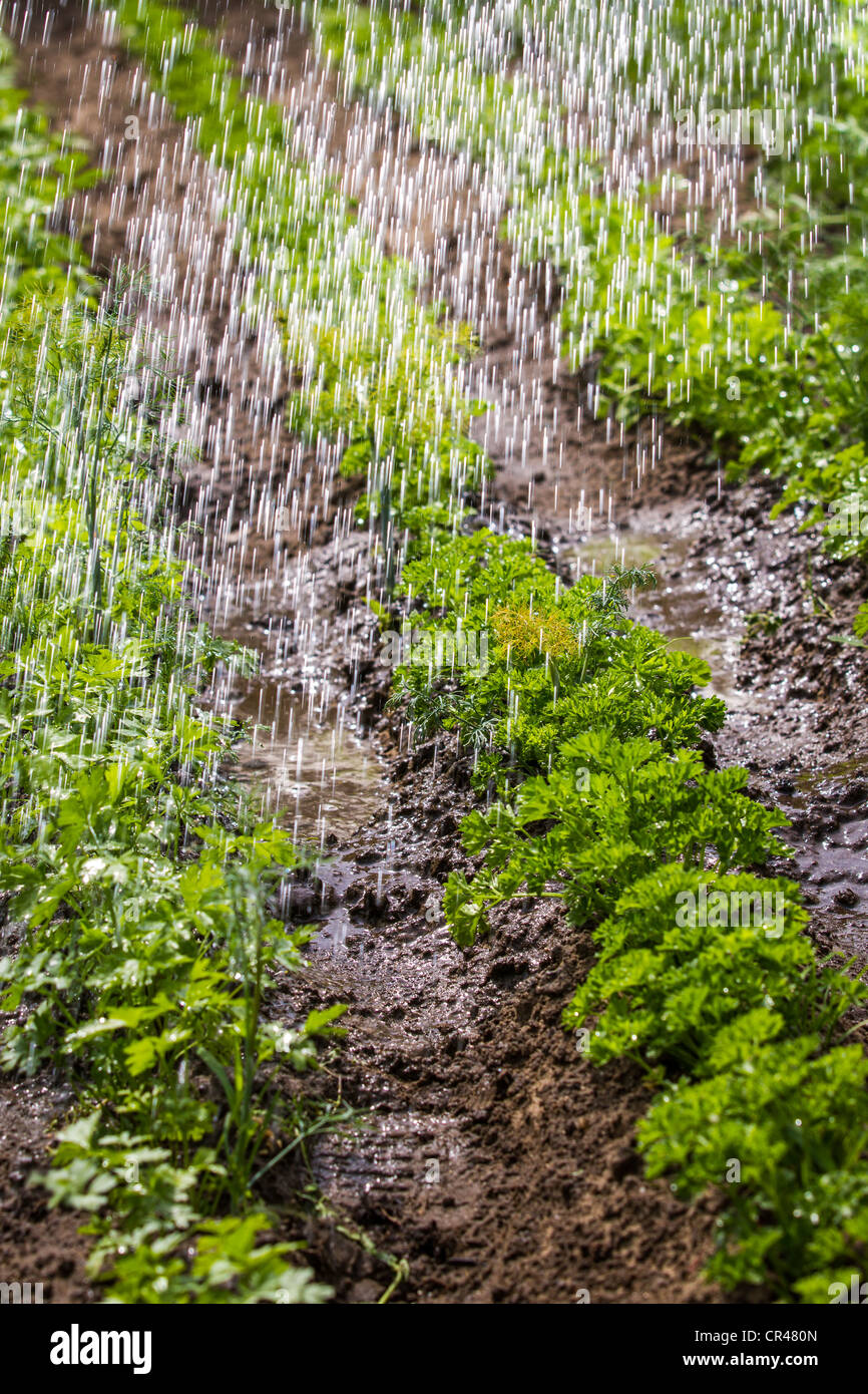 Fertile land hires stock photography and images Alamy