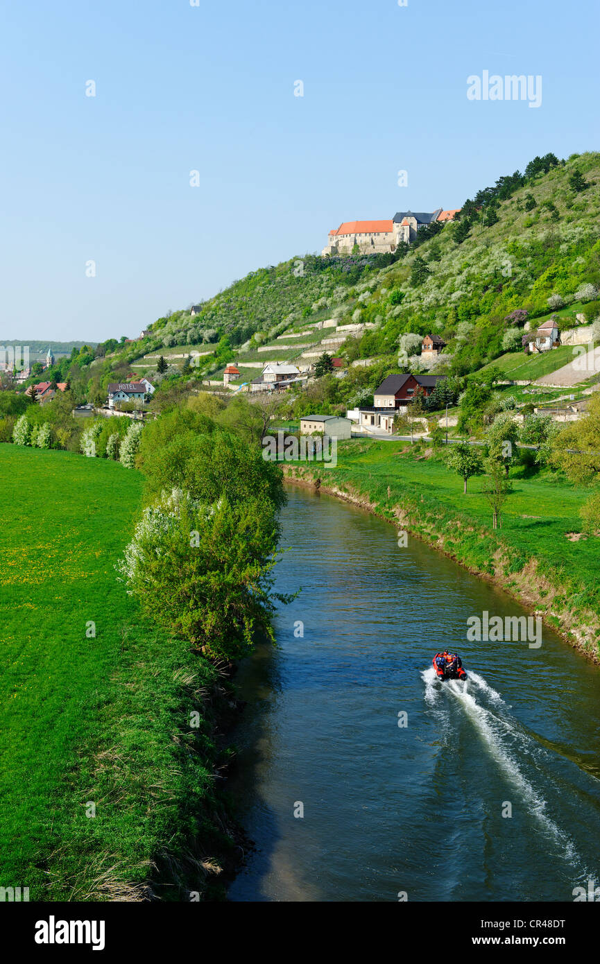 Fryburg an der Unstrut with Schloss Neuenburg castle, wine growing area in the Saale-Unstrut region, Saale Unstrut Triasland Stock Photo