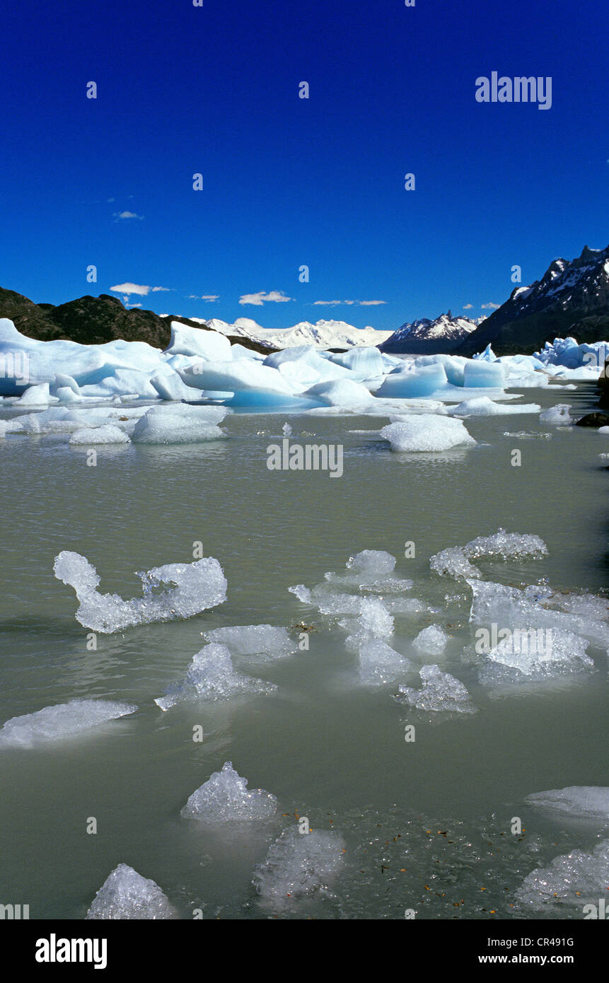 Chile, Magallanes and Antartica Chilena Region, Ultima Esperanza Province, Torres del paine National Park, Grey Lake and Grey Stock Photo