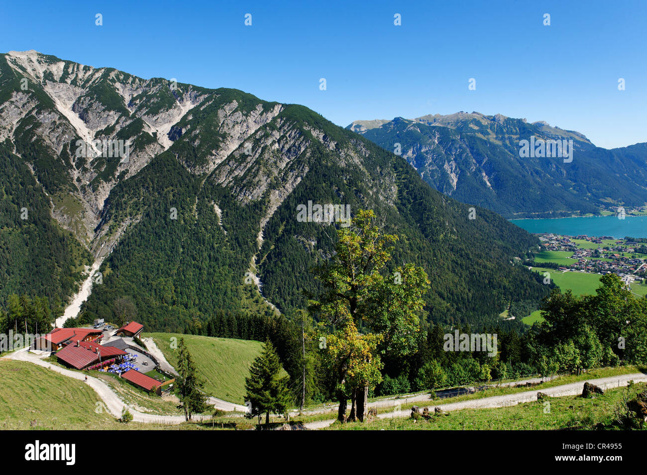 Feilalm alp on Feilkopf mountain, near Pertisau on lake Achensee, Karwendel mountain range, Tyrol, Austria, Europe Stock Photo