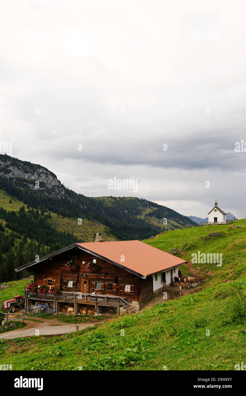 Alpine pasture with a chapel, Ackernalm alp, Tyrol, Austria, Europe Stock Photo