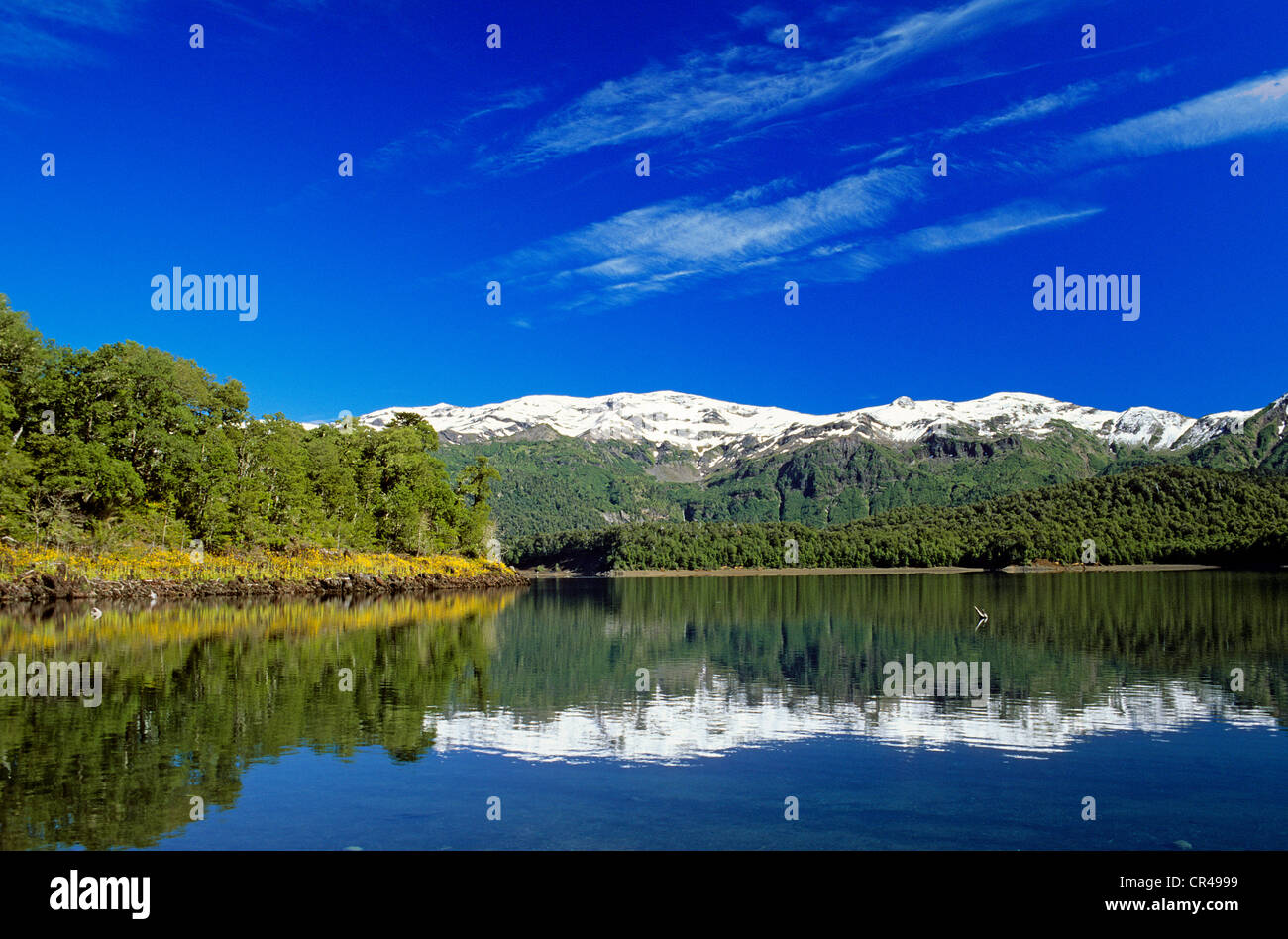 Chile, Los Lagos region, Araucania Province, Conguillio National Park, Conguillio lake Stock Photo