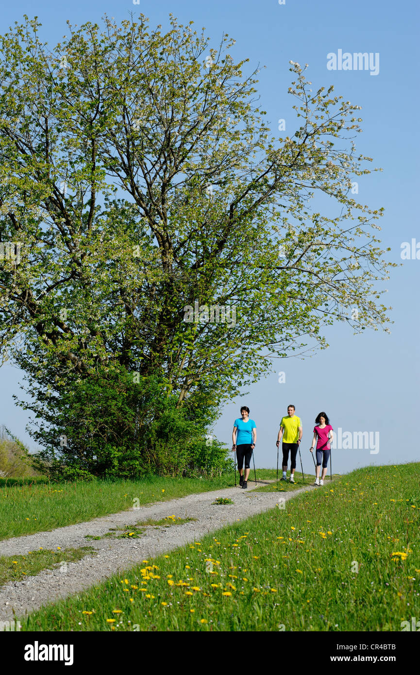 Group of people walking in pathway hi-res stock photography and images ...