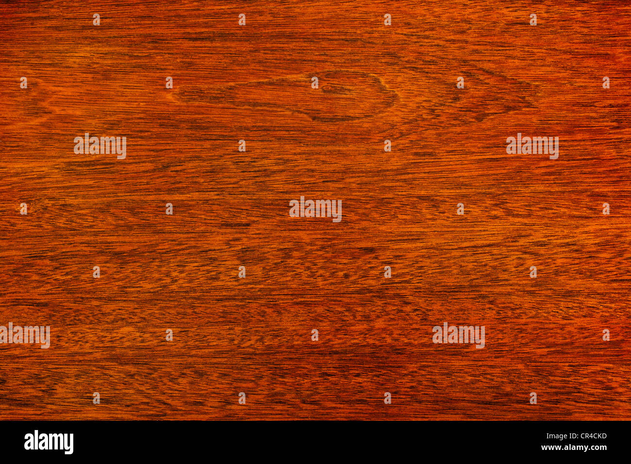 A beautiful piece of polished dark oak, for use as a background. Finished with polyurethane. Stock Photo