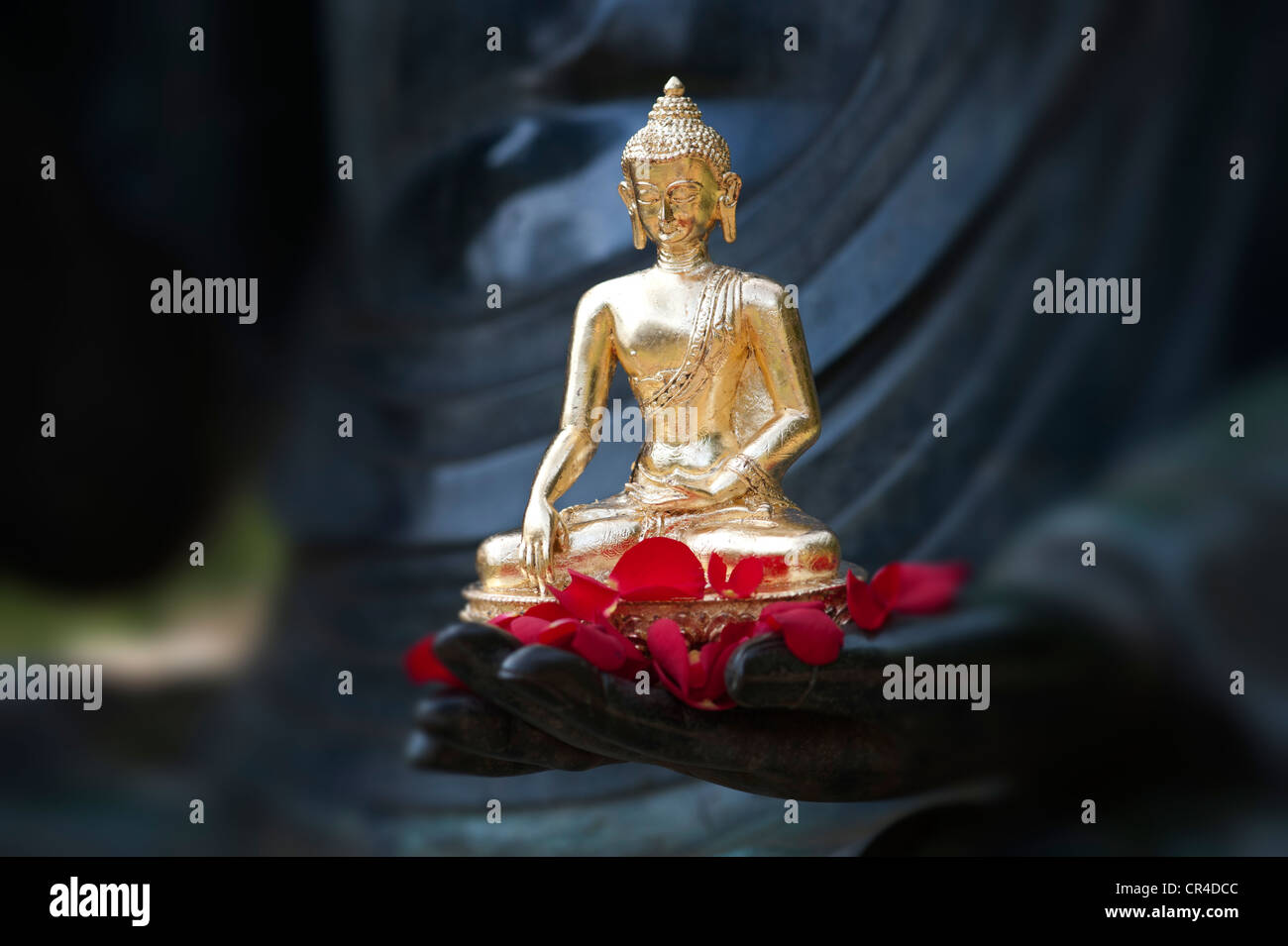 Golden Buddha statue and red rose petals on the hand of a very large