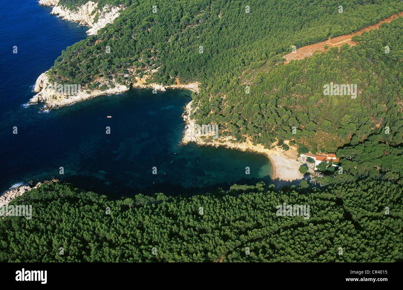 France, Var, Bandol, Alon inlet port (aerial view) Stock Photo