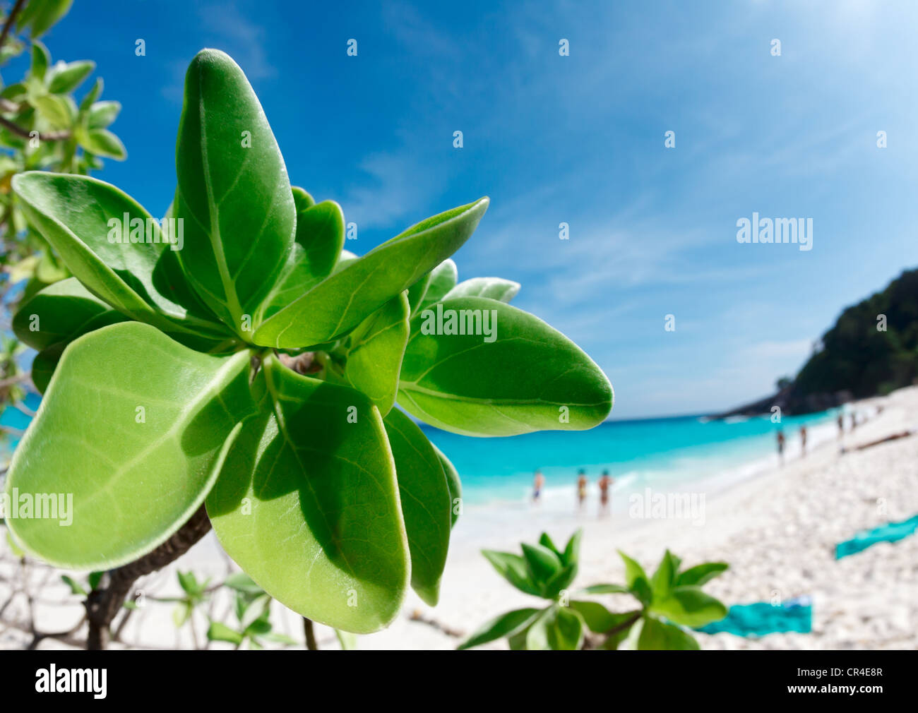 Similan Islands on Andaman sea. Stock Photo