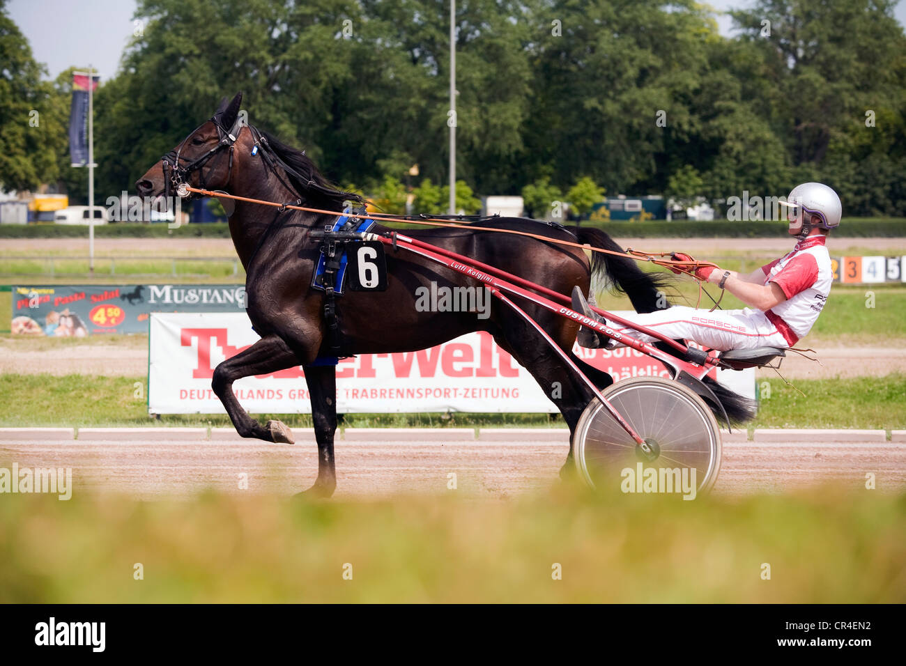 Horse and driver in the sulky, trotting race, Berlin, Germany, Europe Stock Photo