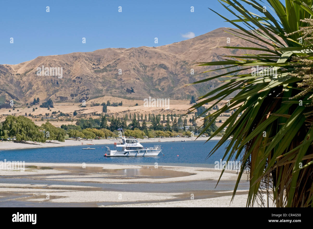 Lake Wanaka in New Zealand's South island Stock Photo - Alamy