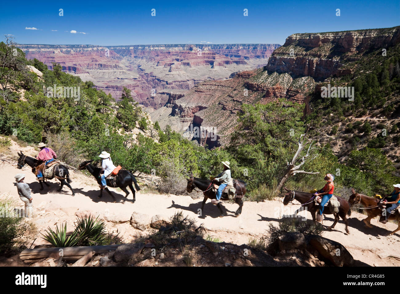 United States, Arizona, Grand Canyon, UNESCO World Heritage, South Rim ...