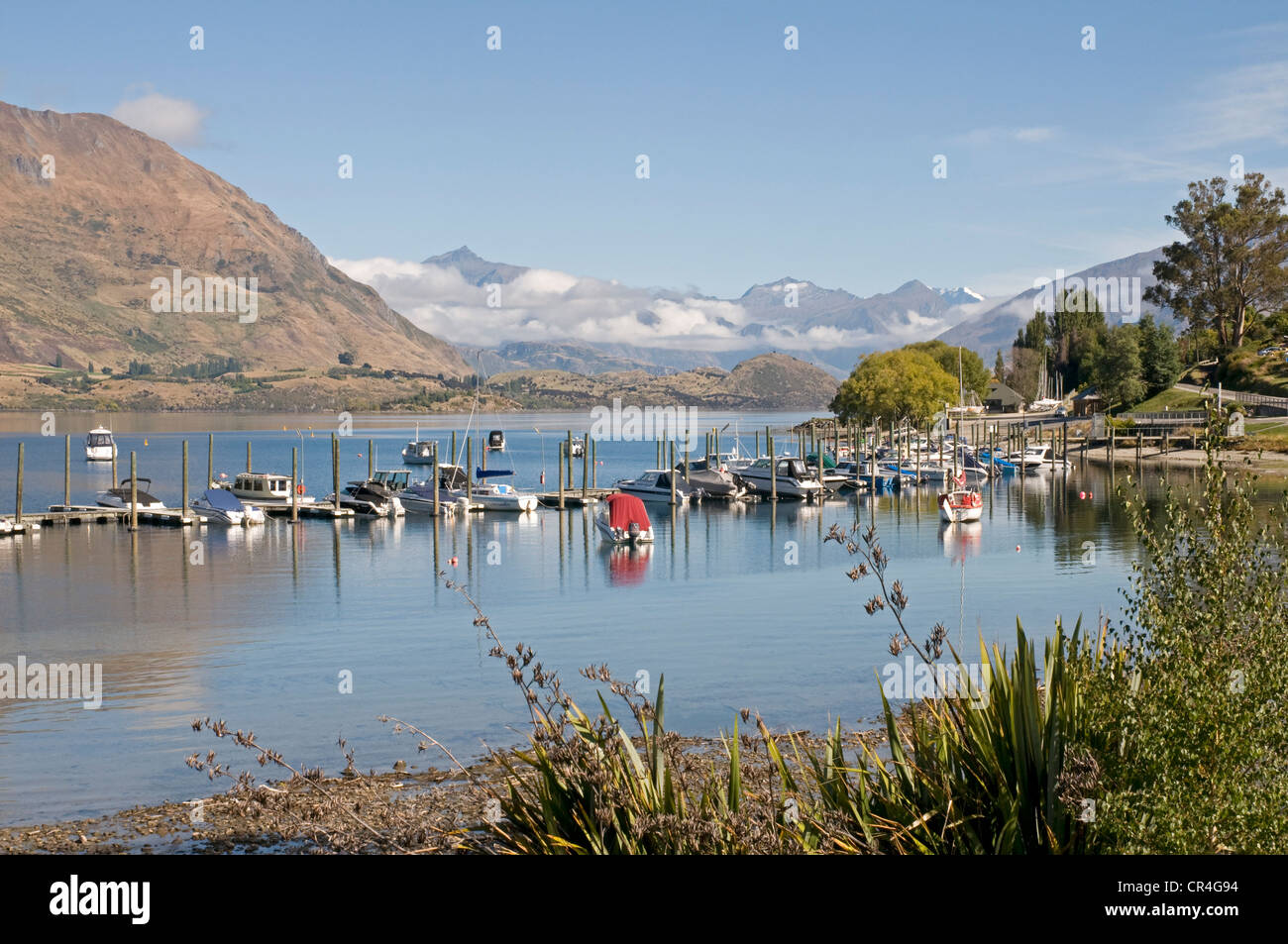 Lake Wanaka in New Zealand's South island Stock Photo - Alamy