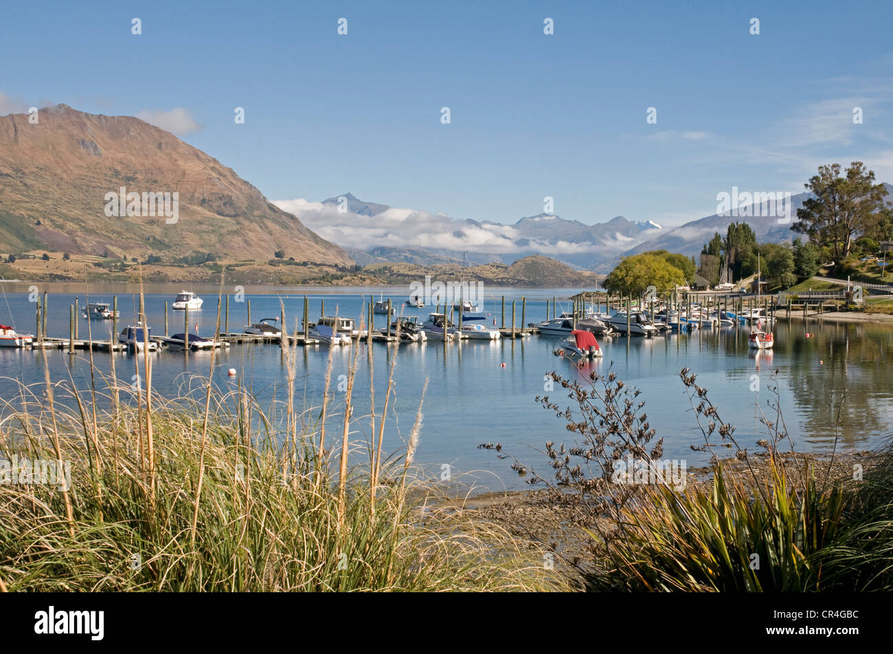 Lake Wanaka in New Zealand's South island Stock Photo - Alamy