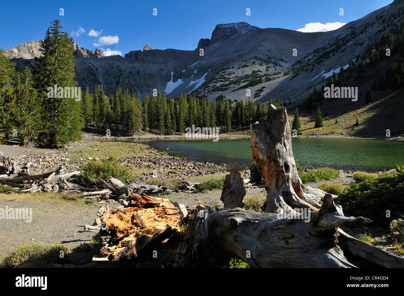 Teresa Lake below Mount Wheeler peak, Great Basin National Park, Nevada, USA, North America Stock Photo