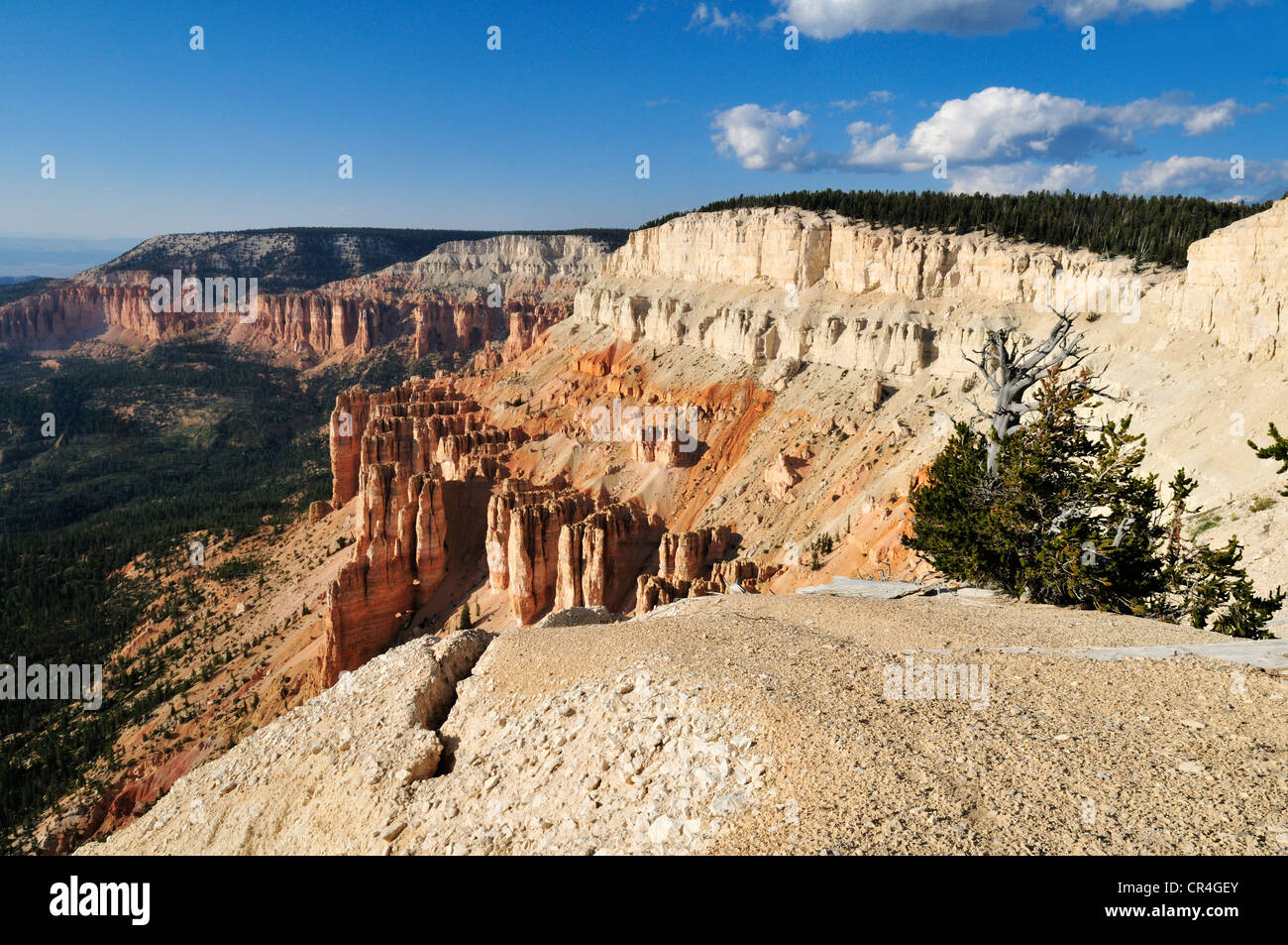 View from Powell Point, Escalante Mountains, Dixie National Forest