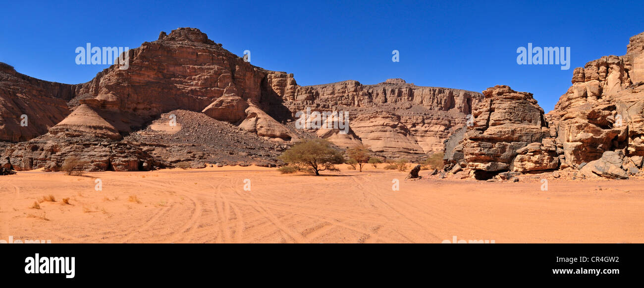 Acacia tree in wadi in hi-res stock photography and images - Alamy