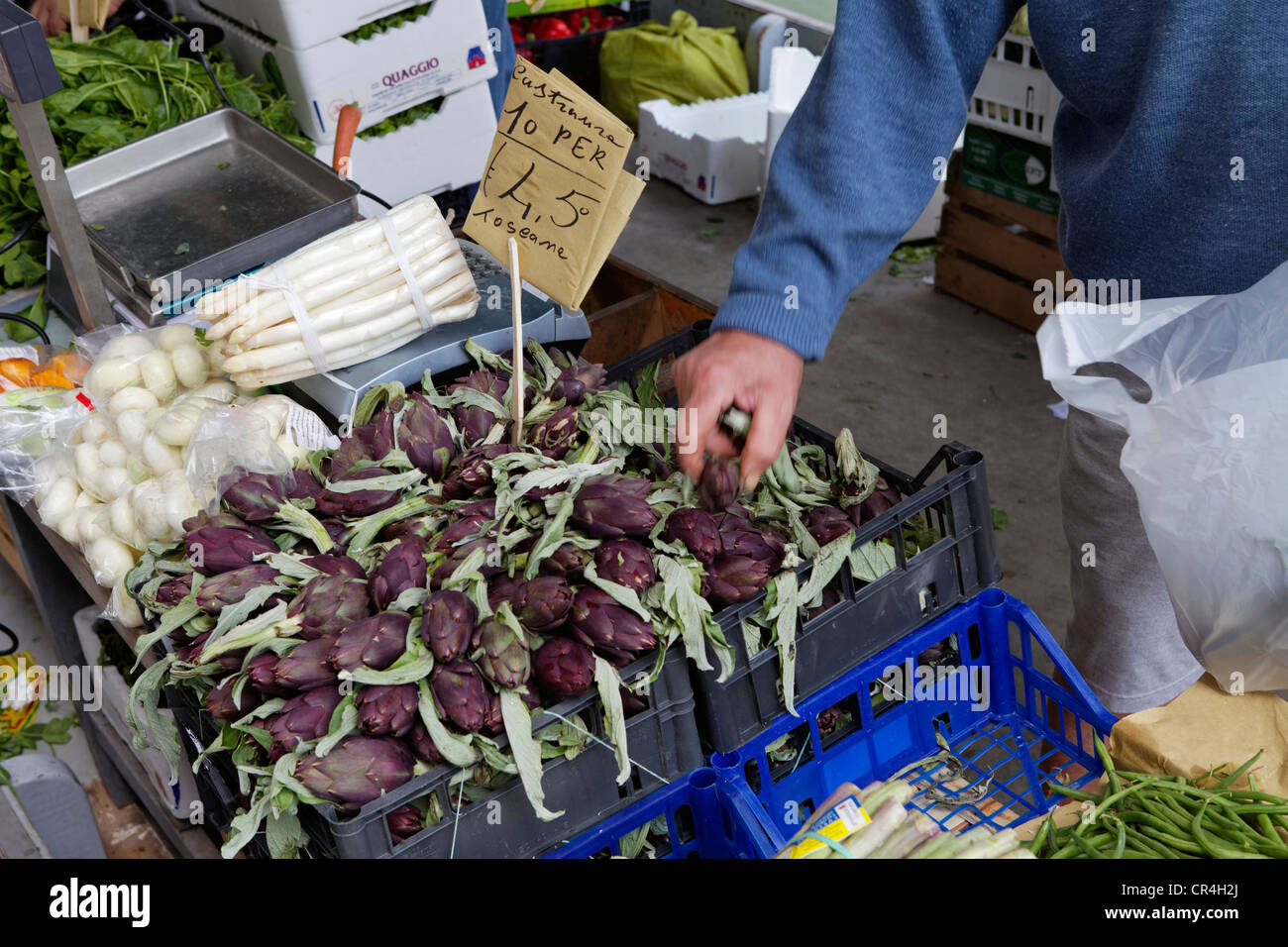 Greengrocer on a boat, selling castraura, artichokes, Dorsoduro district, Venice, Venetia, Italy, Europe Stock Photo
