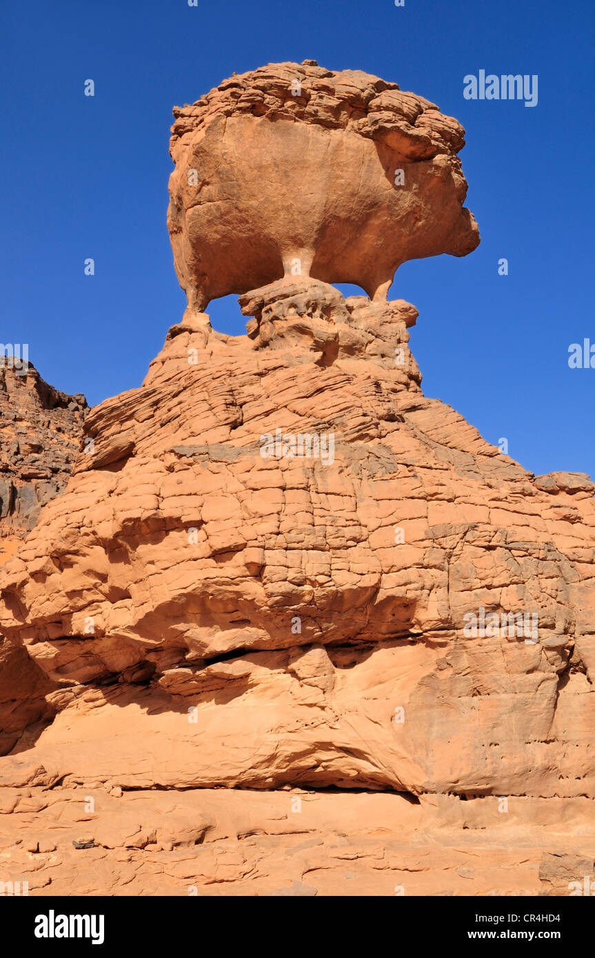 Rock formation in the shape of a hedgehog, Acacus Mountains or Tadrart Acacus range, Tassili n'Ajjer National Park Stock Photo