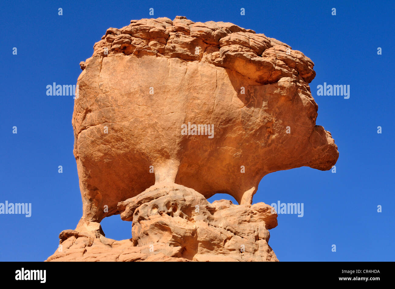 Rock formation in the shape of a hedgehog, Acacus Mountains or Tadrart Acacus range, Tassili n'Ajjer National Park Stock Photo