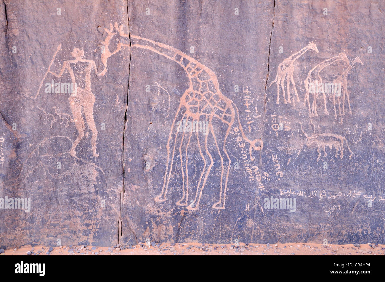 Neolithic rock art, giraffe engraving, of the Tadrart, Tassili n'Ajjer National Park, Unesco World Heritage Site, Algeria Stock Photo