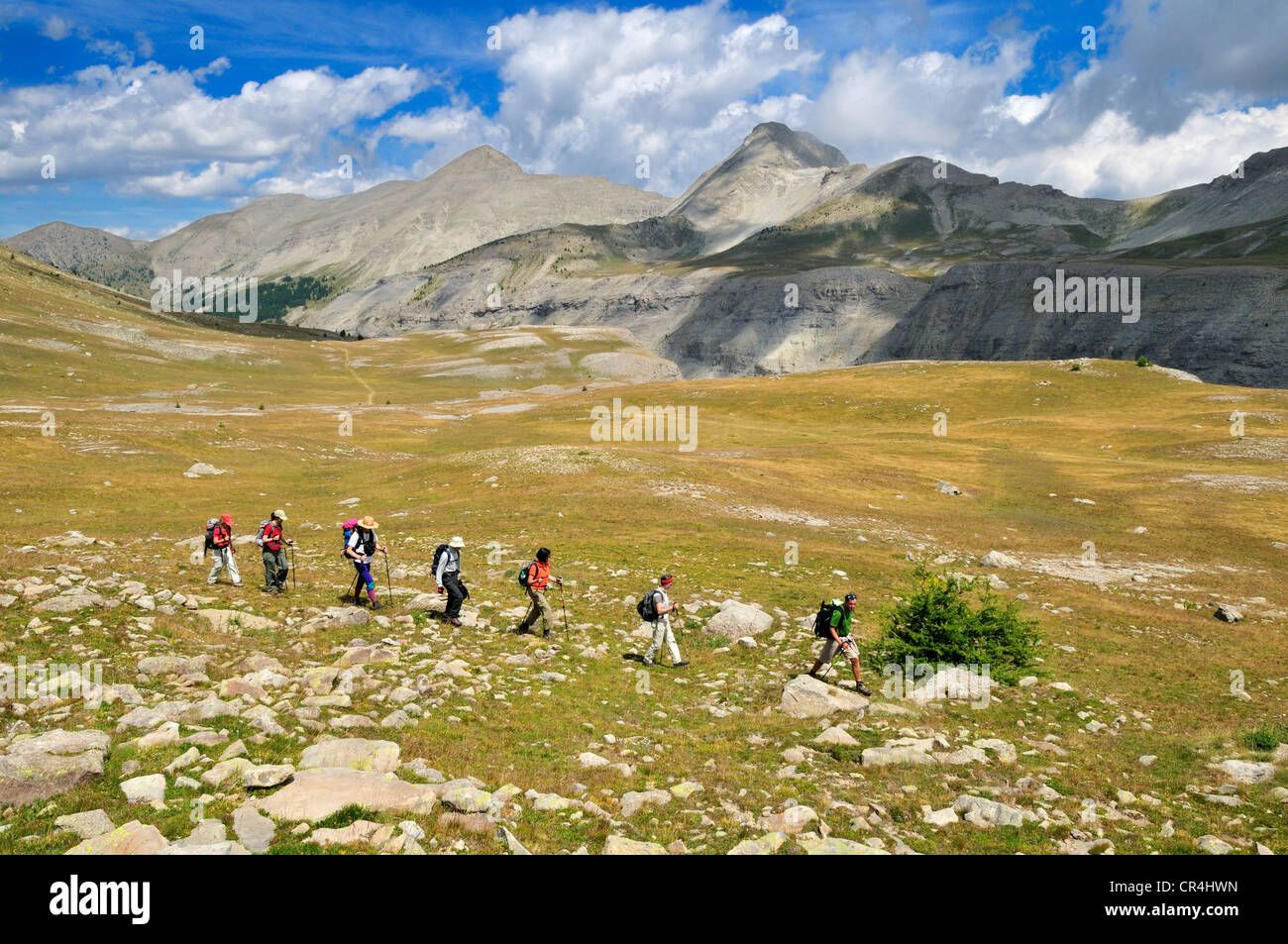 Hiking, trekking group on an alpine meadow near Lacs de Lignin, Haute Verdon Mountains, Alpes-de-Haute-Provence, France, Europe Stock Photo