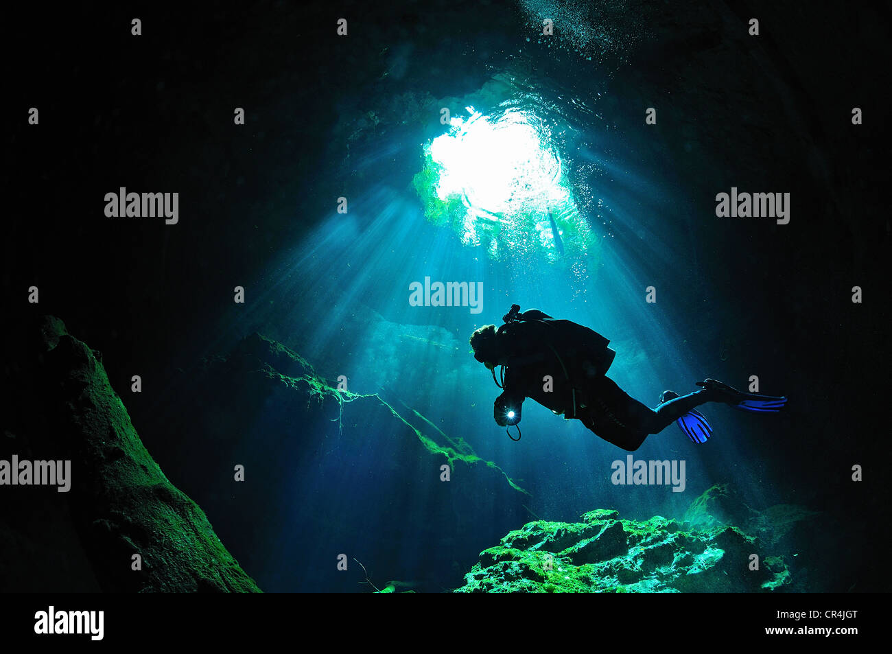 Mexico, Quintana Roo State, the cenote (flooded cave) of Taj Mahal, underwater view Stock Photo
