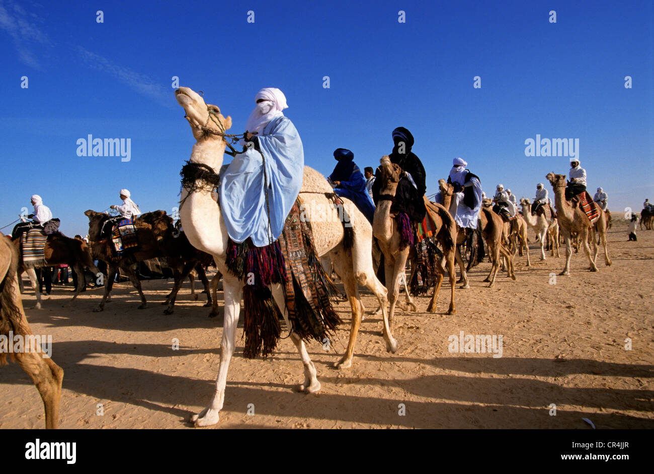 Tunisia, Kebili Governorate, Douz, Desert Festival, Tuaregs on their Mehari dromedaries Stock Photo