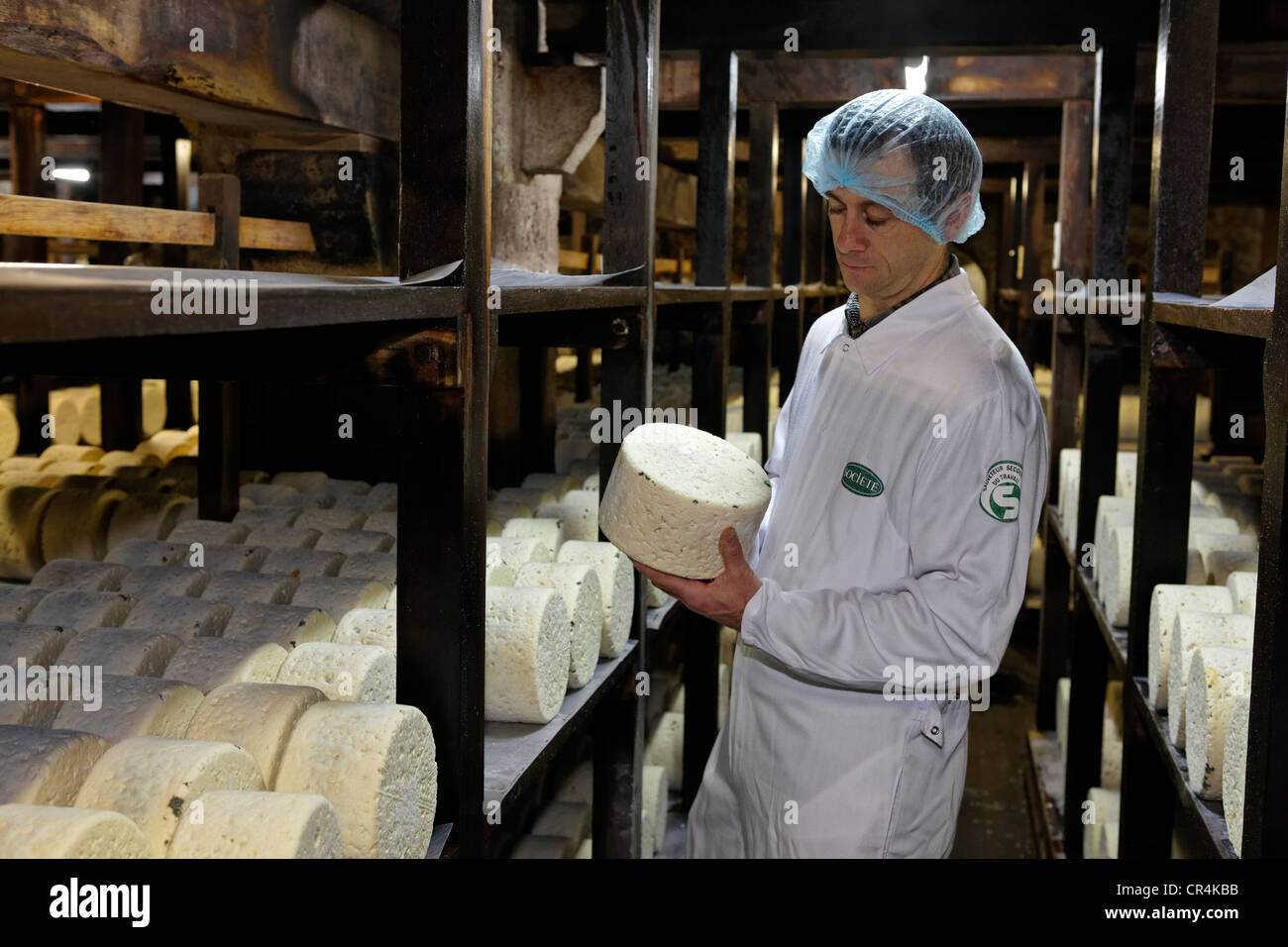 Master cheese maker with rows of cheese stored in the maturing cellars