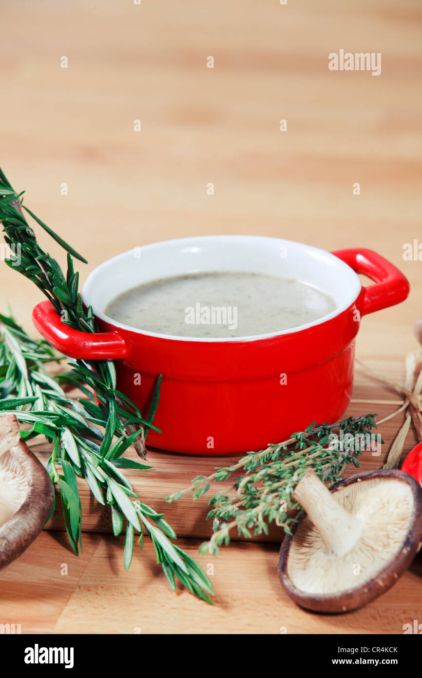 Red crock of creamy mushroom soup surrounded by fresh mushrooms