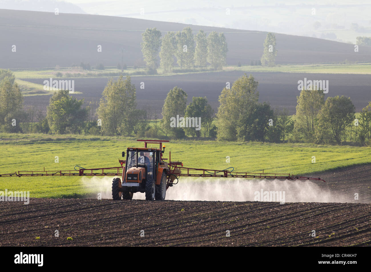 Agricultural chemical treatment on sugar beets, Puy de Dome, France, Europe Stock Photo