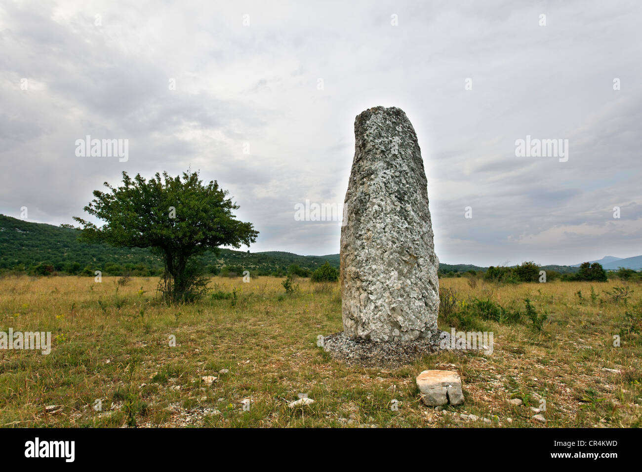 Menhir of Le Coulet near Navacelles, Causse of Blandas, The Causses and the Cevennes, Mediterranean agro-pastoral cultural Stock Photo