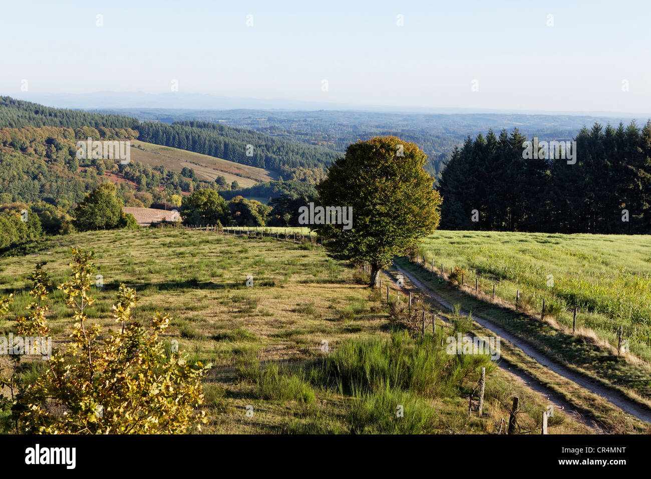 Landscape in Parc Naturel Regional de Millevaches en Limousin