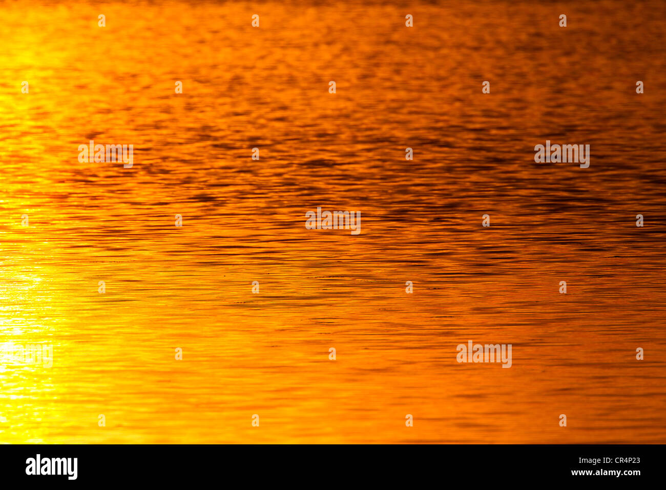 Golden light of setting sun reflecting in a water Stock Photo - Alamy